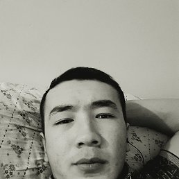 , 26, 