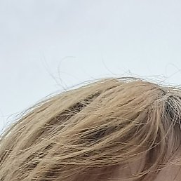 ��������, ������, 33 ����