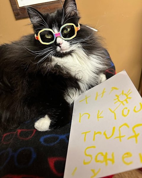  .               . ... - 3