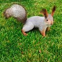 ���� �������, ���������, 45 ��� - ��������� 6 ������� 2025