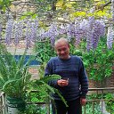 ���� Vaja, �������, 59 ��� - ��������� 4 ��� 2025 � ������ ���� ����������