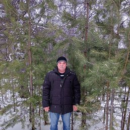 ������, ���������, 62 ����