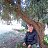 ���� Boujemaa, ��������, 74 ���� - ��������� 31 ���� 2024