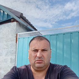 , 43, 