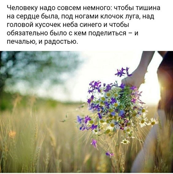   - 13  2024  11:27