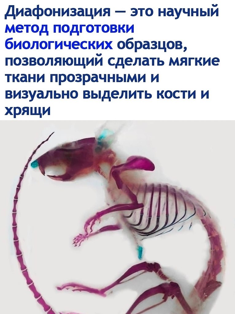 ��a�o���a��� � ��� ����������� ���������� � ���� �����. ��� ������ ����� ��������� � ���������� ...