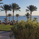 ���� �������, ������������, 52 ���� - ��������� 13 ������� 2025 � ������ ���� ����������