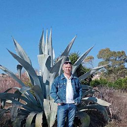 Yaness, ����������, 48 ���