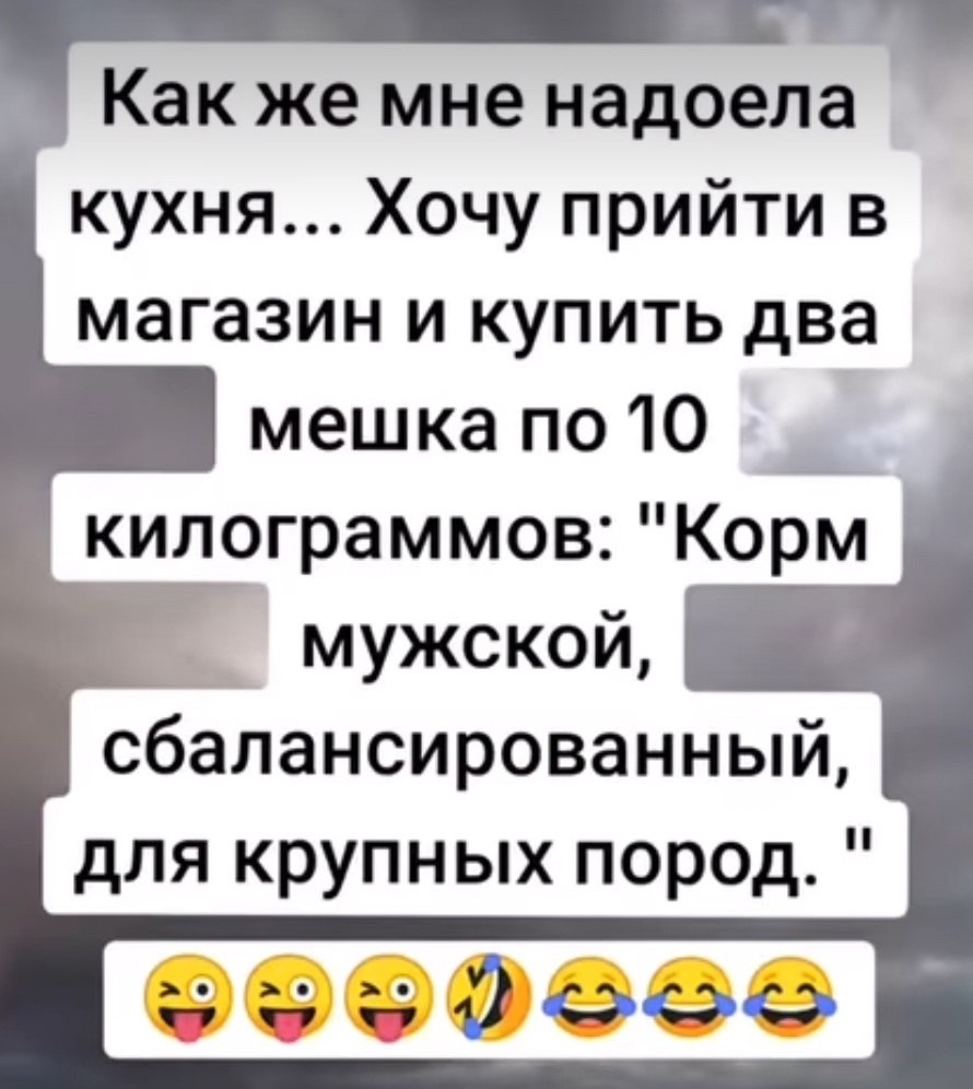  - 13  2025  03:13