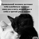 ���� ������� �������, �����, 26 ��� - ��������� 22 ������ 2025