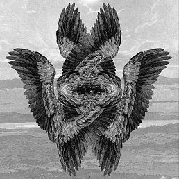 ����, ������, 45 ���