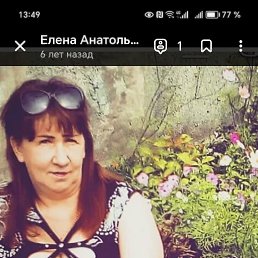  , 51, 