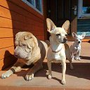 ���� �������, ��������, 60 ��� - ��������� 8 ������� 2026 � ������ ���� ����������