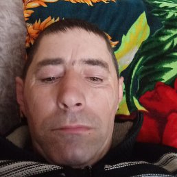 ����� ��������, ������, 43 ����