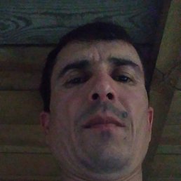 ����, �����-���������, 41 ���