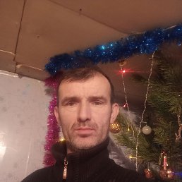 ���� ���������, 44 ����, ���������