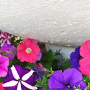 ���� ������, ������, 56 ��� - ��������� 30 ���� 2024