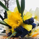 ���� ����������, ������, 47 ��� - ��������� 4 ������ 2025 � ������ ������ ��������