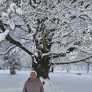 �����, , �������