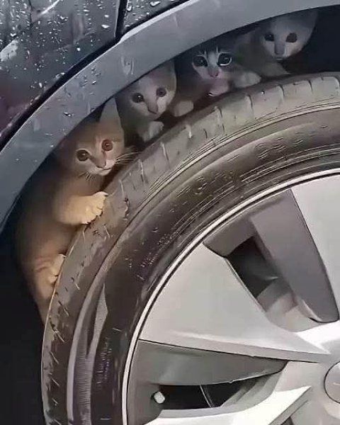 :) , !      ,       ...