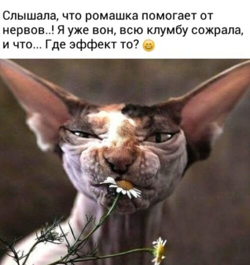   ! - 9  2024  21:13