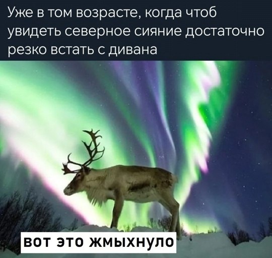  - 17  2025  10:42