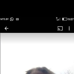 �������, �����, 53 ����