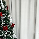 ���� ��������, ���������, 48 ��� - ��������� 10 ������ 2026 � ������ ���� ����������