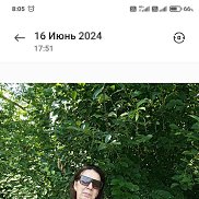 �����, 56 ���, �����