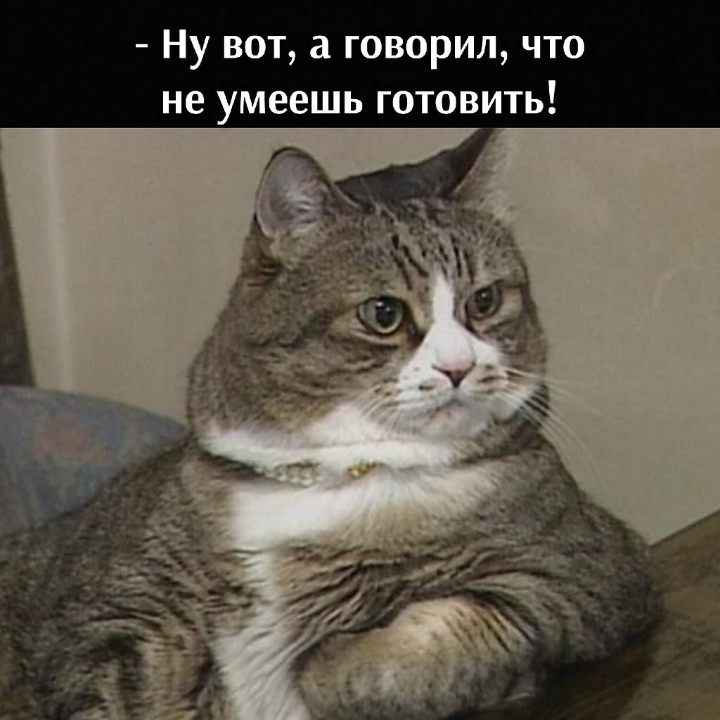 ��� ���� � ����� �� �� - 26 ��� 2026 � 12:55 - 2