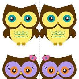 �����, �����������, 56 ���