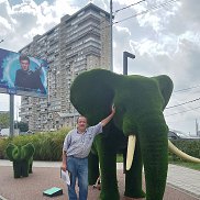 ��������, 66 ���, ������