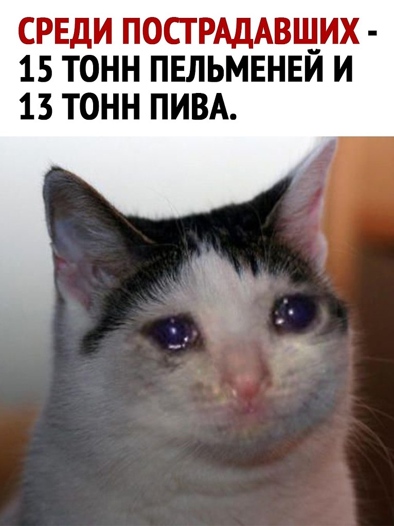  - 10  2024  08:39 - 3