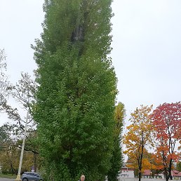 ���� ��������, ������, 56 ��� - ��������� 4 ����� 2025