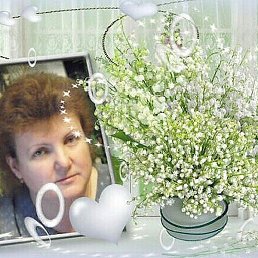 Z�noz� -, �����������, 100 ���