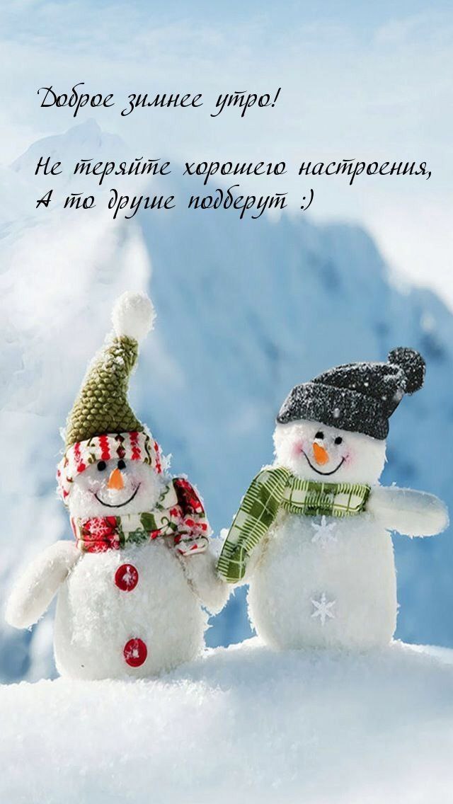 Василиса - 19 декабря 2023 в 16:30