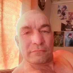 ������, ��������, 51 ���