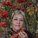 ���� ������, ��������, 55 ��� - ��������� 27 ������ 2026 � ������ ���� ����������