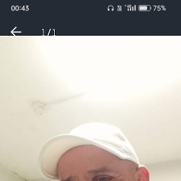 �����, �����-���������, 46 ���