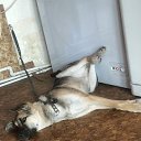 ���� ������, ������ �����, 42 ���� - ��������� 7 ����� 2025 � ������ ���� ����������