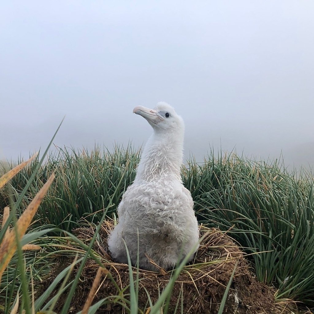      - ,        . ... - 6