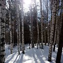 ���� ����, ������, 62 ���� - ��������� 5 ������ 2024 � ������ �������� � ������