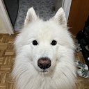 ���� ������, �����-��������� - ��������� 17 ������ 2025 � ������ ������ ��������