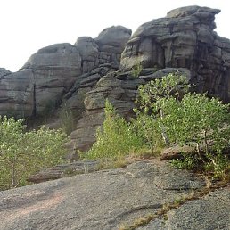 ����, �����������, 65 ���