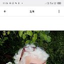 ���� �������, �������, 67 ��� - ��������� 4 �������� 2025 � ������ ���� ����������