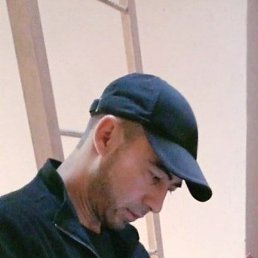 ����, ������, 41 ���