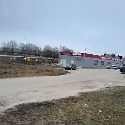 �����, ������ ��������, 44 ����