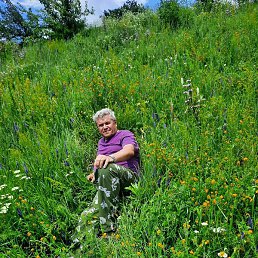 �������, �������������, 65 ���