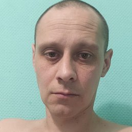 Alexander, �����������, 39 ���