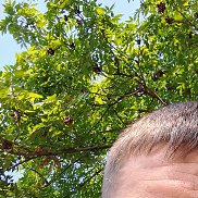 ����, 35 ���, ������-��-����